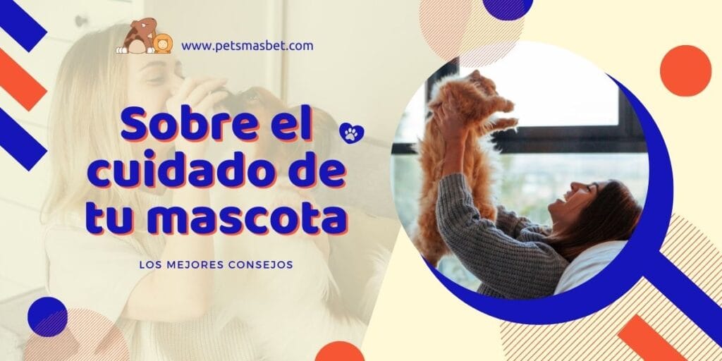 Dueño cuidando y jugando con su mascota en casa
