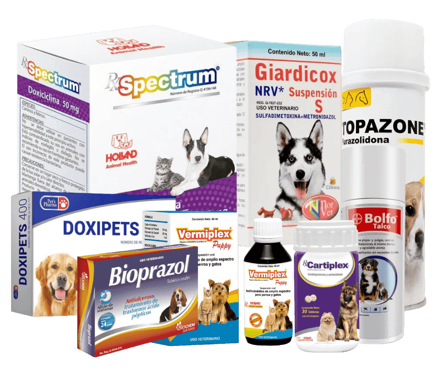 Farmacia veterianaria para mascotas