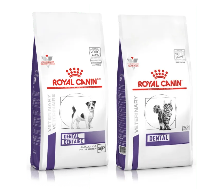 Alimento para mascotas Dental Royal Canin