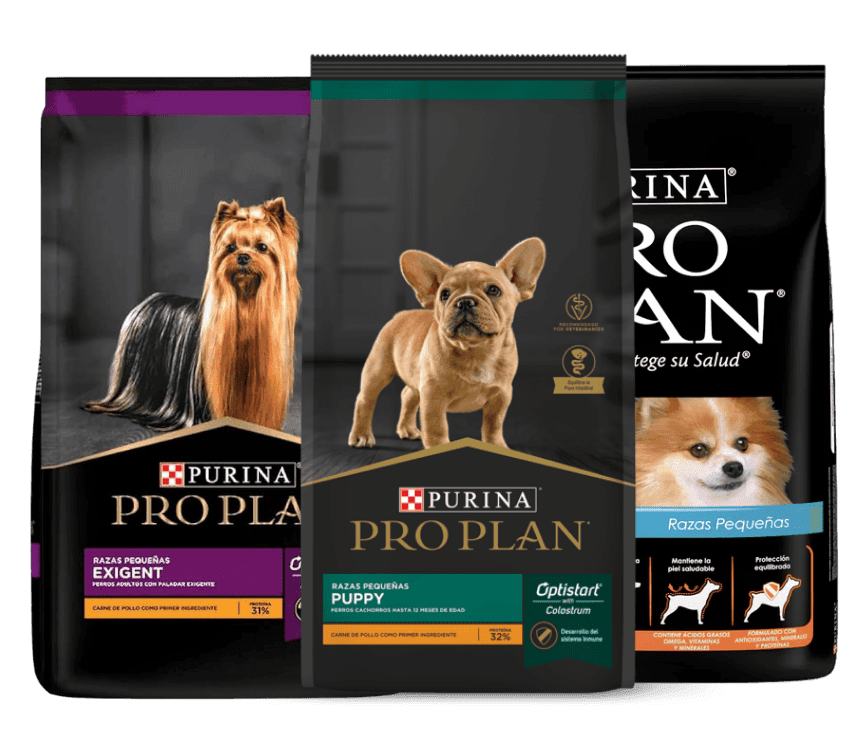 Alimento para mascotas Purina ProPlan en Apodaca