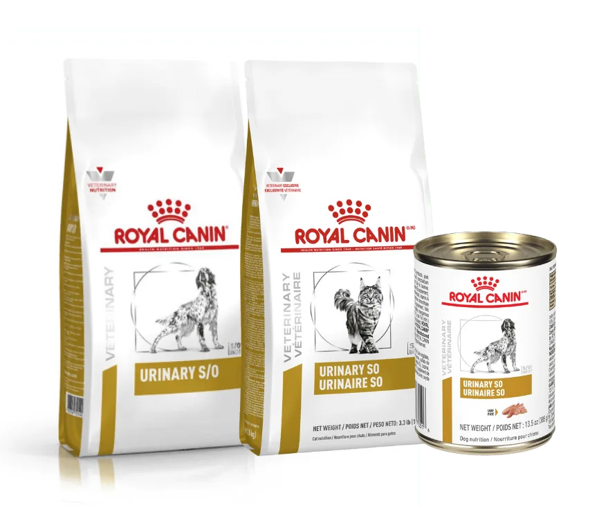 Alimento para mascotas Urinario Royal Canin