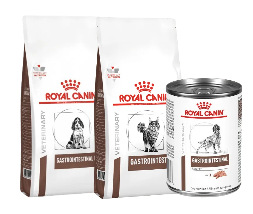 Alimento para mascotas gastrointestinal Royal Canin