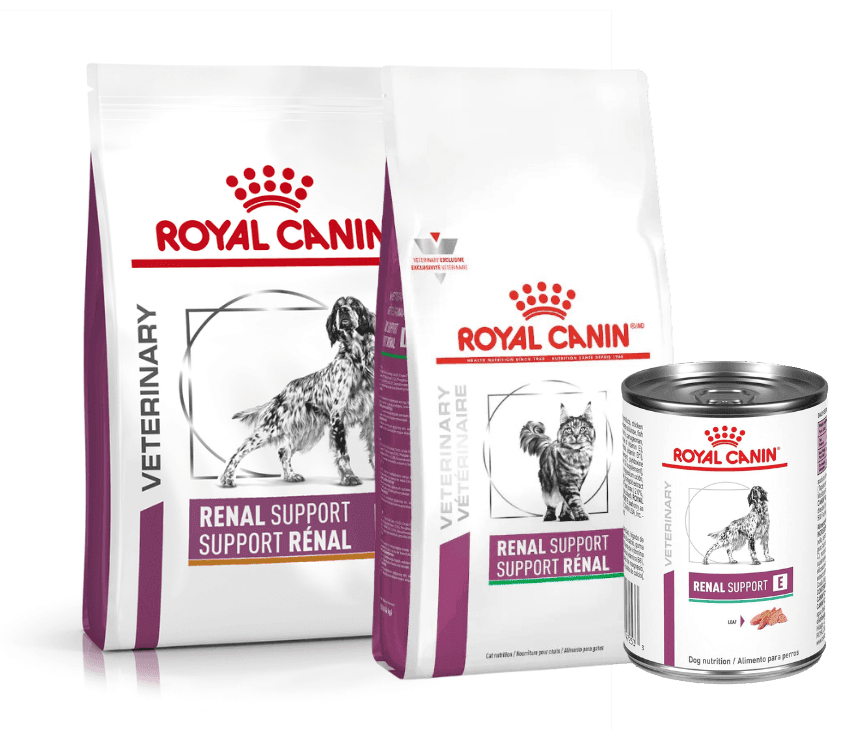 Alimento para mascotas renal Royal Canin