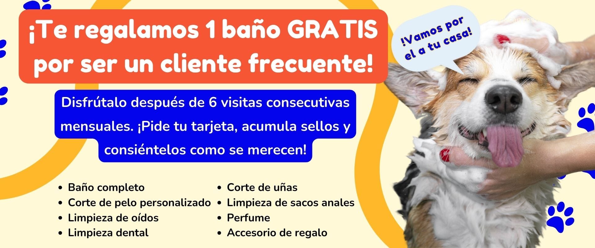 Baño para mascota gratis en Hospital veterinario en Apodaca