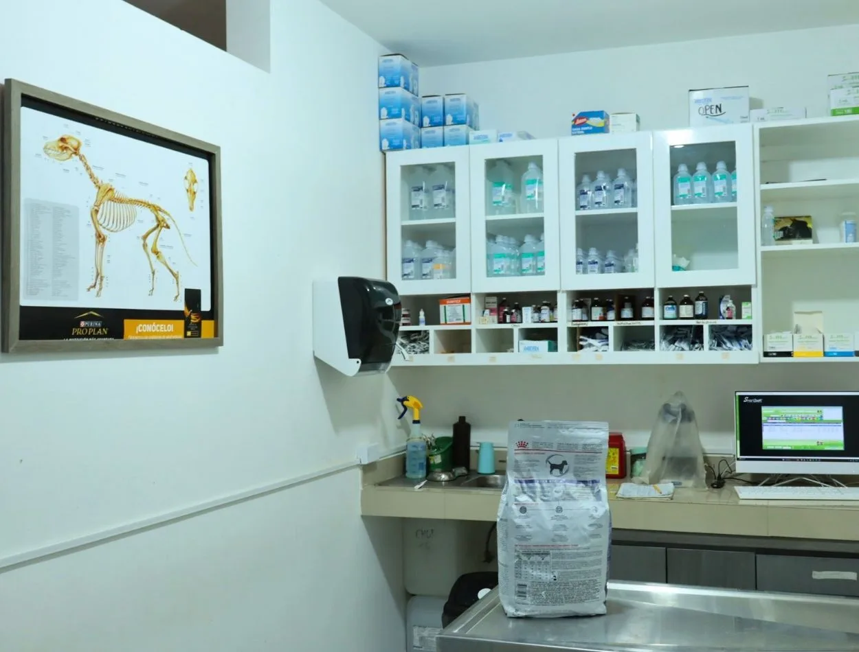 Ultrasonidos veterinarios en Hospital Veterinario en Apodaca